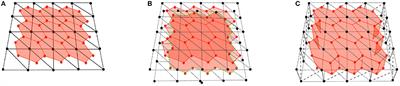 Development of a New 3D Hybrid Model for Epithelia Morphogenesis